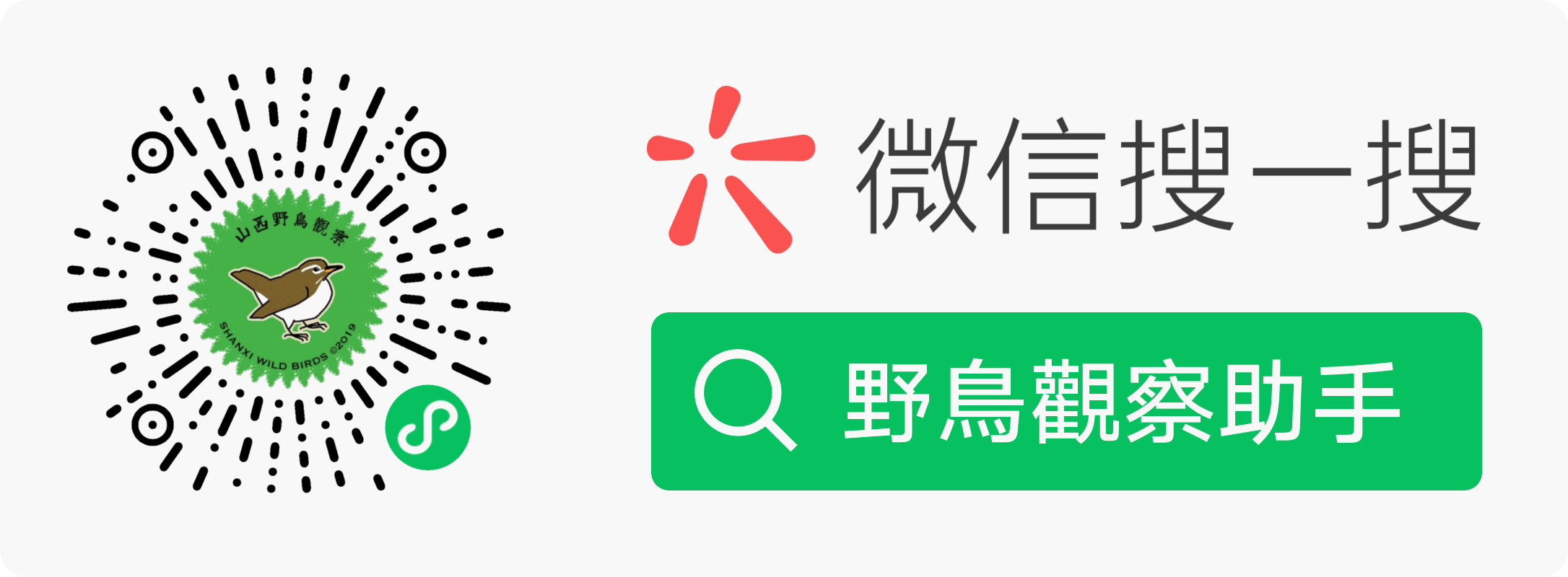 扫码关注 / 微信搜一搜：野鳥觀察助手